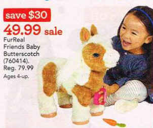 baby butterscotch pony for sale